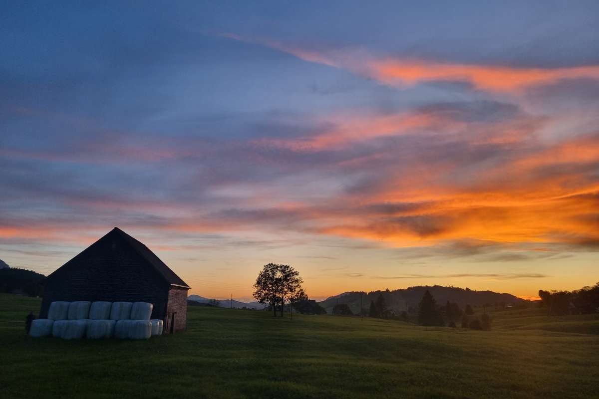 Silently beautiful: evening atmosphere in the moor with an unplayed barn.